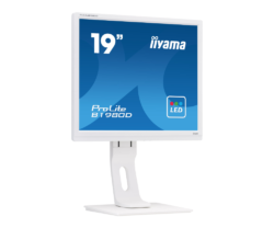 Monitor Iiyama ProLite B1980D-W1, LED, 19 inch
