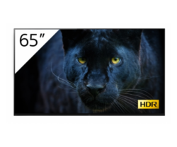 Display profesional Digital Signage Sony Bravia FWD-65A8T, 4K, OLED