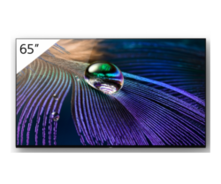 Display profesional Digital Signage Sony Bravia FWD-65A90J, 65 inch, 4K Ultra HD, OLED
