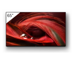 Display profesional Digital Signage Sony Bravia FWD-65X95J, 65 inch, 4K Ultra HD