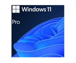 Licenta Microsoft Windows 11 Pro, 64 bit, Engleza, OEM, DVD
