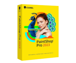 Licenta Corel PaintShop Pro Ultimate, Electronic Software Delivery (ESD), Perpetual
