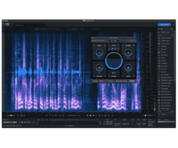 Software audio iZotope RX 10 Standard