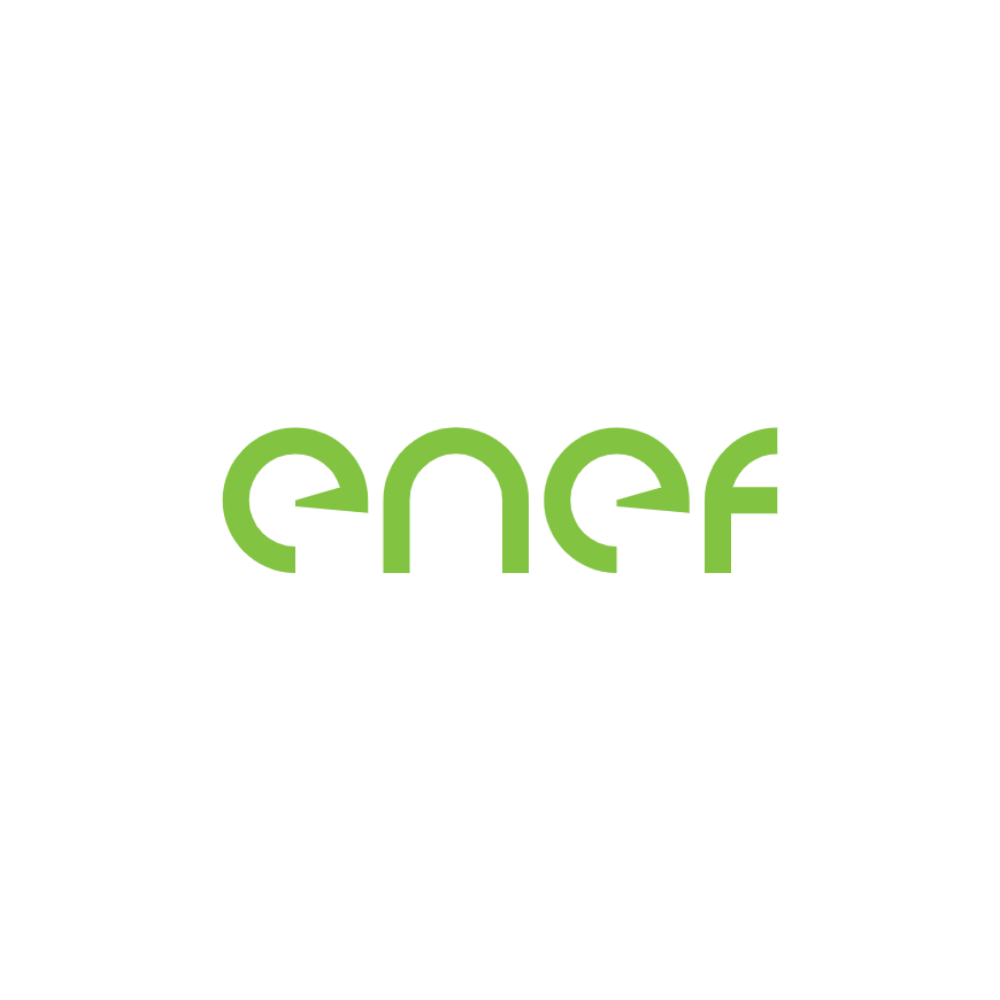 ENEF - Sistem de monitorizare consumuri energetice