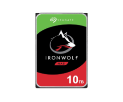 Seagate HDD Ironwolf 10 TB