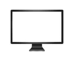 Revizie monitor
