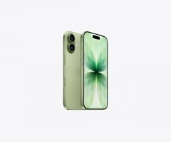 iPhone 17 256GB Sage
